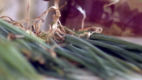 Groups-of-vegetable-plant-stems-being-inspected-for-human-consumption