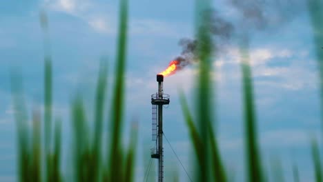 Petrochemical-chimney-burning-toxic-gas-emission-view-between-crop-growth