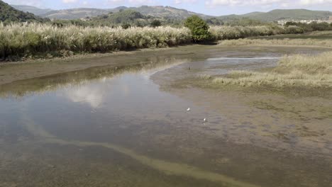 Aerial-view-of-low-tide-Wetlands,-bird-sanctuary-in-Santona