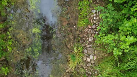 Bach-Feldweg-Wasser-Sperre-See-Luft-Dolly-Fliegen