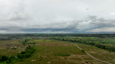 Aerial-forward-over-rice-fields-in-countryside,-Bali-in-Indonesia