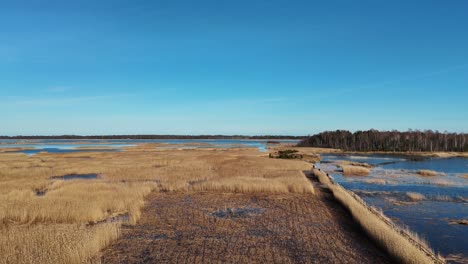 Holzbretter-Wanderweg-Durch-Das-Schilf-Des-Kaniera-Sees,-Luftaufnahme-Vom-Frühling,-Lapmezciems,-Lettland