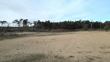 At-Kalthoutse-heide-drone-flying-over-sand-towards-woods-and-then-raising-over-them