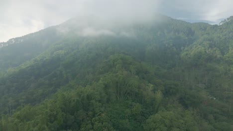 Aerial-view-of-foggy-mountain-forest