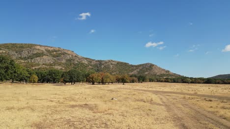 Semi-Arid-Nature-With-Trees-And-Mountains-In-The-Background