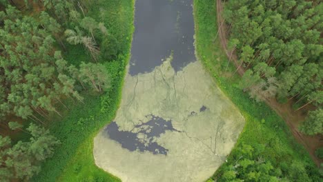 Lago-De-Agua-De-Laguna-En-El-Bosque-Verde-Día-Nublado-Inclinación-Aérea-Boom-Dolly