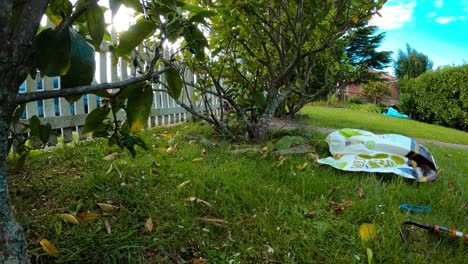 Timelapse-of-a-man-gardening,-weeding,-crushed-and-tidying