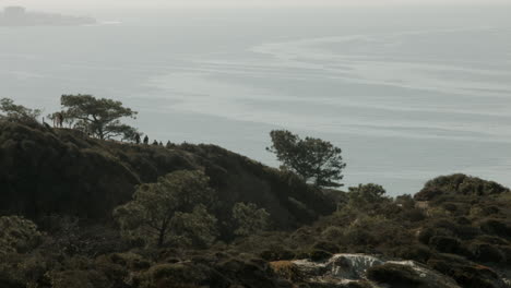 Los-Visitantes-Caminan-Por-Los-Senderos-De-La-Reserva-Natural-Estatal-Torrey-Pines-En-San-Diego,-California.
