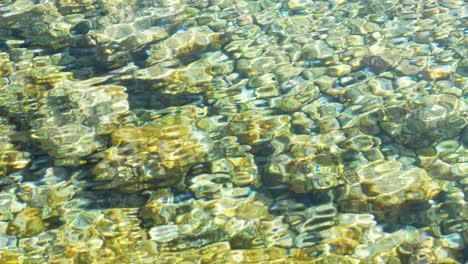 Kristallklares-Und-Steiniges-Unterwasserwasser-Der-Natürlichen-Pools-Teneriffas
