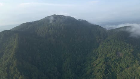 Fliegen-Sie-über-Berge-Mit-Dichten-Wäldern