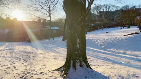 Padre-E-Hijo-En-Trineo-Bajo-La-Luz-Del-Sol-En-Un-Parque-Nevado-En-Estocolmo