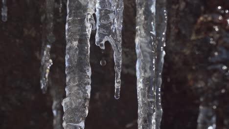 Eiszapfen-Schmelzen,-Wodurch-Wassertropfen-Fallen