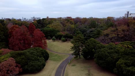 A-lush-park-in-autumn-with-a-mix-of-green-and-red-foliage,-empty-paths,-and-a-city-skyline-in-the-distance,-cloudy-day,-aerial-view