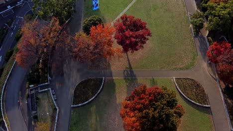 Herbstliche-Park-Luftaufnahme-Mit-Leuchtend-Roten-Bäumen-Und-Wanderwegen-In-Der-Abenddämmerung