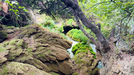 Ein-Kleiner-Bach-Fließt-Durch-Kroatische-Feuchtgebiete-Im-Krka-Nationalpark