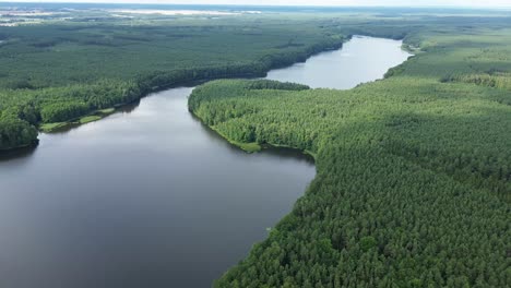 lake-in-forest-very-long-shot-aerial-fly-drone-green-european