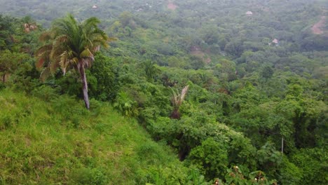 Approaching-drone-shot-of-the-highlands-and-mountainous-region-and-the-lush-green-forest-of-Minca,-Colombia