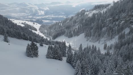 Neblige-Bergkiefern,-Eingehüllt-In-Schnee-Und-Nebel