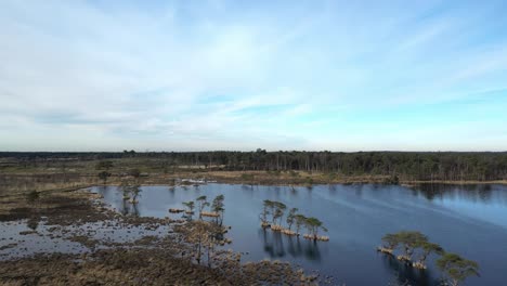 Kalmthouse-Heide-Drone-flying-over-wetlands-towards-the-woods