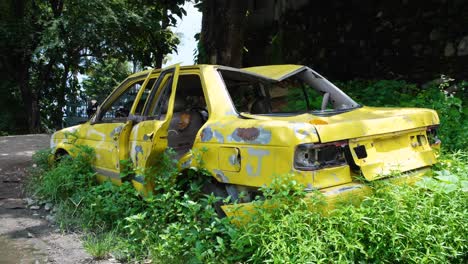 Verlassenes,-Kaputtes-Und-Verfallendes-Gelbes-Taxi-Mit-Zerbrochenen-Fenstern,-Dessen-Auto-Von-Der-Natur-übernommen-Wurde,-In-Der-Hauptstadt-Von-Osttimor,-Südostasien