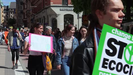 Un-Joven-Marcha-Con-Un-Cartel-De-Detener-El-Ecocidio-En-Un-Mitin-Climático,-Cerca-De-Slomo