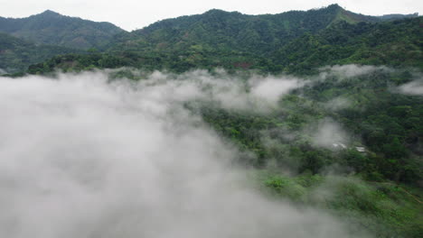 Vista-Panorámica-Aérea-De-La-Naturaleza-Salvaje