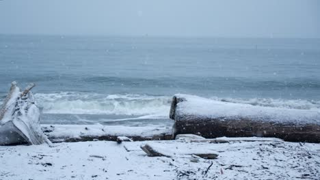 Driftwood-on-the-Snowy-Beach,-Winter-Day-with-Snowfall,-Slomo-Waves