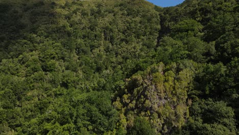 Aussichtspunkt-Bergauf-Grüne-Berge-Auf-Madeira,-Portugal