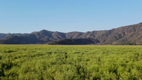 Flug-über-Grüne-Wiese-In-Richtung-Berg