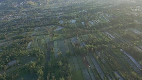 Hermoso-Paisaje-De-Campo-Agrícola-Verde-En-El-Día-De-Verano