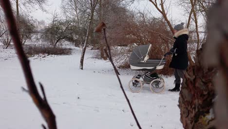 Single-mother-slowly-walk-and-push-baby-carriage-on-snowy-countryside-road