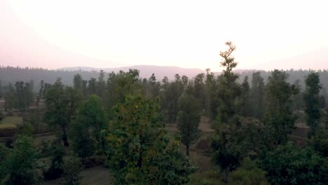 Vista-Aérea-De-Drones,-Se-Ven-Muchos-Tipos-Diferentes-De-Conocimientos,-Una-Gran-Cantidad-De-área-Forestal-Parece-Ser-Grande