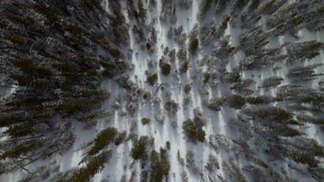 Birdseye-snowy-Berthoud-Pass-Winter-Park-national-forest-scenic-landscape-view-aerial-drone-backcountry-ski-snowboard-Berthod-Jones-Colorado-Rocky-Mountains-peaks-high-elevation-upward-circle-left