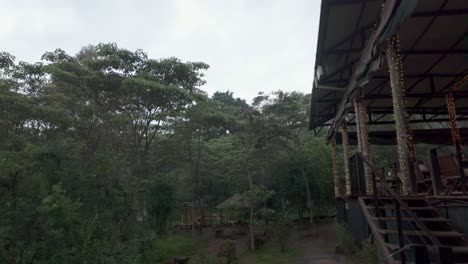 Cafetería-Y-Restaurante-Dentro-De-Un-Bosque