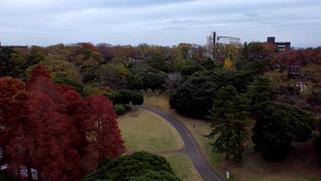 A-park-in-autumn-with-vibrant-foliage-and-a-walking-path,-aerial-view