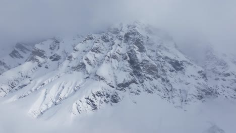 Un-Ambiente-Brumoso-Rodea-A-Los-Pinos-De-Montaña-Cubiertos-De-Hielo