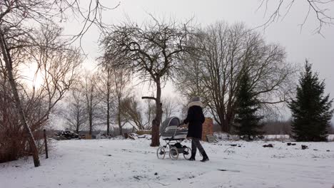 Single-mother-walk-on-snowy-cottage-driveway-with-baby-carriage-near-bare-tree