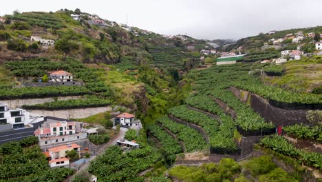 Get-lost-in-the-majestic-vistas-of-Madeira's-cliffs-as-the-drone-captures-the-dramatic-landscapes-in-stunning-detail