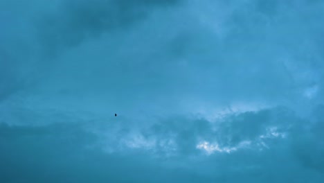 Lonely-silhouette-bird-fly-in-distance,-light-blue-sky,-moving-wings-alone