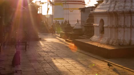 Monkey's-at-sunrise-running-through-the-Monkey-Temple,-Kathmandu,-Nepal