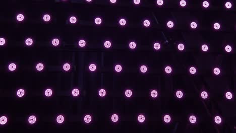 Row-Of-Small-Round-Pink-Red-Flashing-LED-Lights-On-Wall