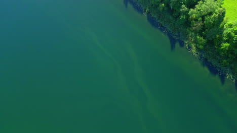 Aerial-Emerald-colour-water-lake-river-surrounded-by-green-forest-tree