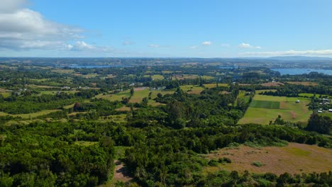 Lemuy-island's-vibrant-landscape-with-lush-fields-and-distant-ocean,-aerial-view