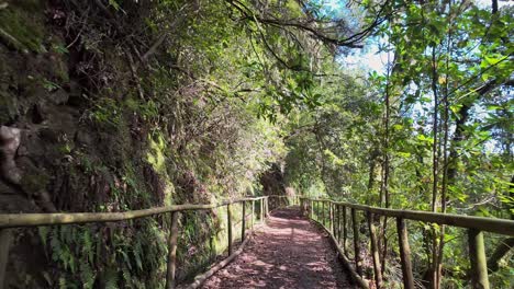 Pov-walking-on-lush-Madeira-island-levada-Hiking-trail,-Slow-motion