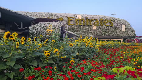 Dubai-Miracle-Garden,-Vereinigte-Arabische-Emirate,-Emirates-Frachtflugzeug-Mit-Blumen-Bedeckt,-Panorama