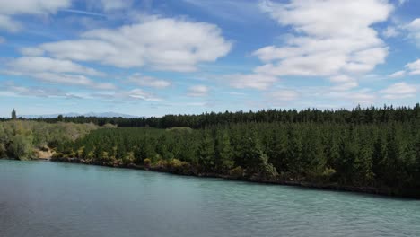 Flying-sideways-above-main-channel-of-beautiful-turquoise-colored-Waimakariri-River-in-summertime---nice-contrast-between-pine-tree-forest-and-willow-trees