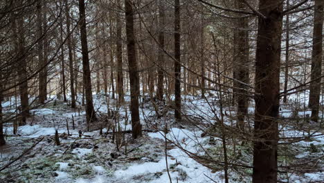 Nahaufnahme-Einer-Handaufnahme-In-Einem-Trockenen-Herbstwald-Mit-Schnee,-FPV-POV-Skyline-Durch-Äste-Während-Einer-Sonnigen-Wintermorgenlandschaft
