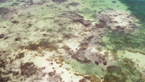 Antena-De-Arriba-Hacia-Abajo-Arrecife-De-Coral-Archipiélago-De-Los-Roques,-Inclinada-Hacia-Arriba-Revela-Un-Paisaje-Impresionante