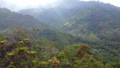 Morning-sun-rays-filter-through-the-the-low-clouds-shrouding-the-dense-forest