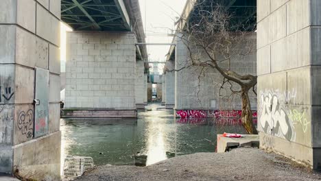Puentes-De-Hormigón-Con-Graffiti-Sobre-Un-Río-Helado-En-Estocolmo
